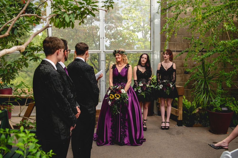 Bride in purple gown with bridesmaids in black dresses standing with groomsmen in a lush greenhouse wedding ceremony.
