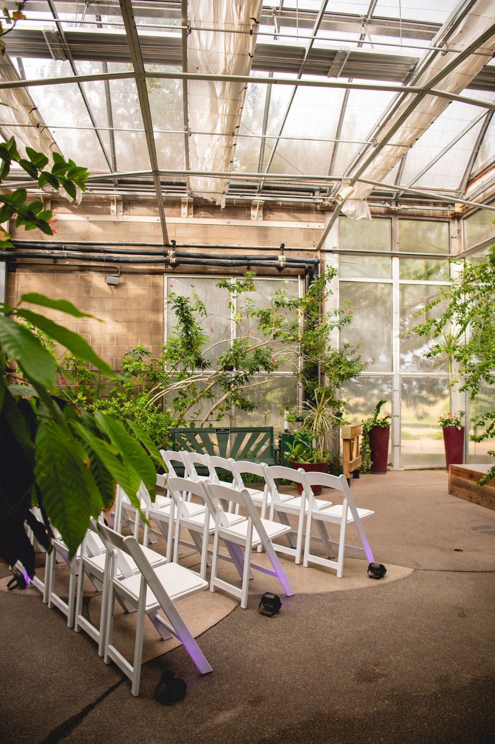 White folding chairs arranged in a greenhouse ceremony space surrounded by lush green plants and glass ceiling.