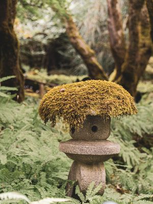 Moss-covered stone Japanese lantern surrounded by lush ferns in a serene forest garden setting.