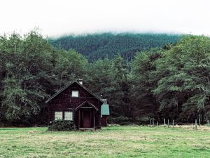 A rustic red cabin nestled in a lush green meadow surrounded by dense forest trees beneath a misty mountain backdrop.