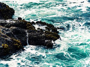 Rocky coastline with turquoise ocean waves crashing against moss-covered rocks, creating white sea foam.