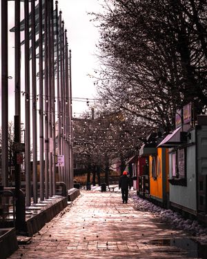 Person walking along a winter urban promenade with bare trees, flagpoles, and colorful market stalls on a sunny day.