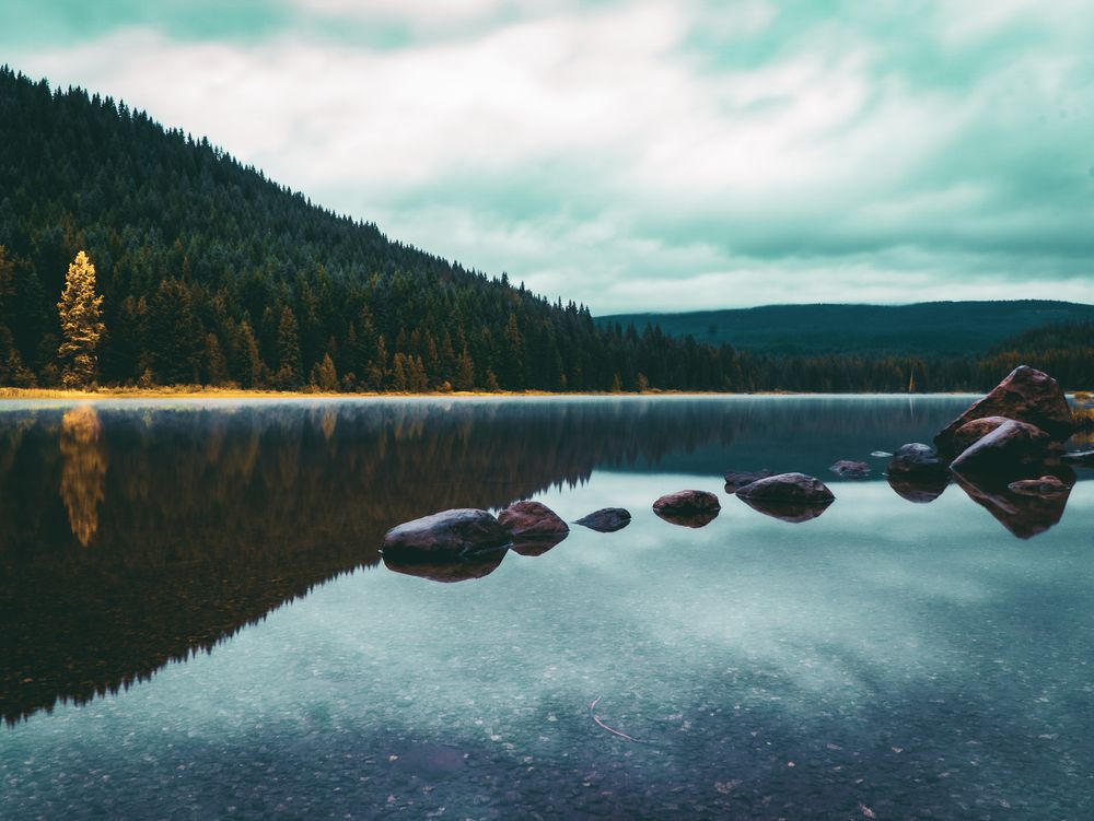 Serene mountain lake with stepping stones, dense pine forest reflection, and dramatic cloudy sky in a tranquil wilderness setting.