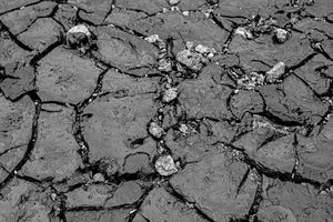 Black and white photo of cracked, dry earth showing severe drought conditions with deep fissures in parched soil.