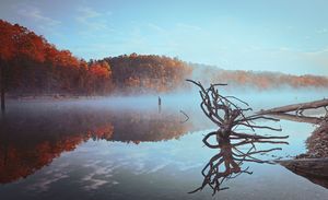 Misty autumn lake with vibrant red and orange trees reflecting on calm water beside a gnarled driftwood branch.