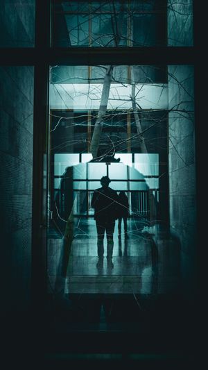 A mysterious silhouette stands in a dark corridor with bare tree branches reflected on glass.
