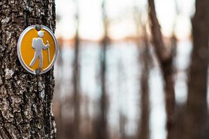 Yellow hiking trail marker on a tree trunk in a forest with blurred trees and water in the background.