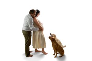 Pregnant couple embracing while their golden Labrador dog looks up at them against white background.