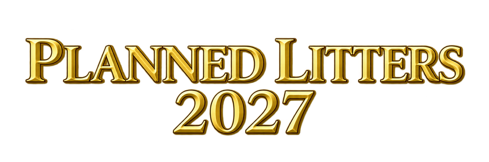 Planned Litters 2027