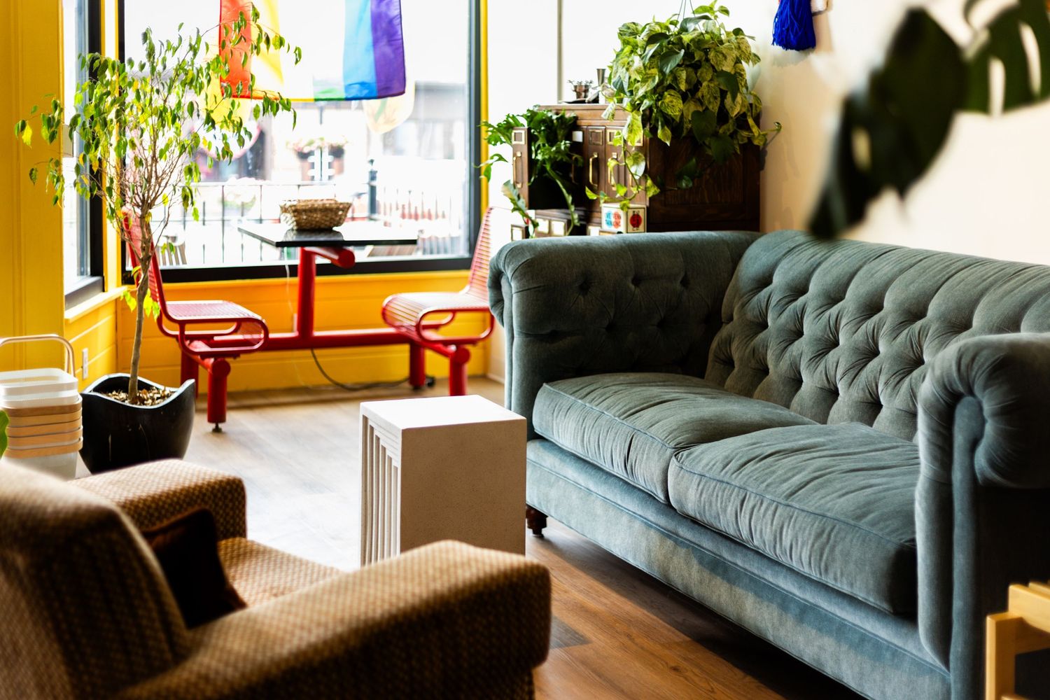 Cozy living room with tufted blue velvet sofa, brown armchair, indoor plants, and bright yellow walls near large windows.