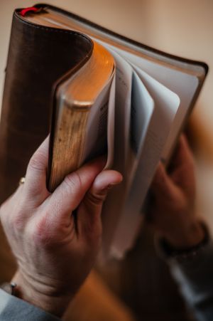 Close-up of hand holding open leather-bound book with pages fanned out.