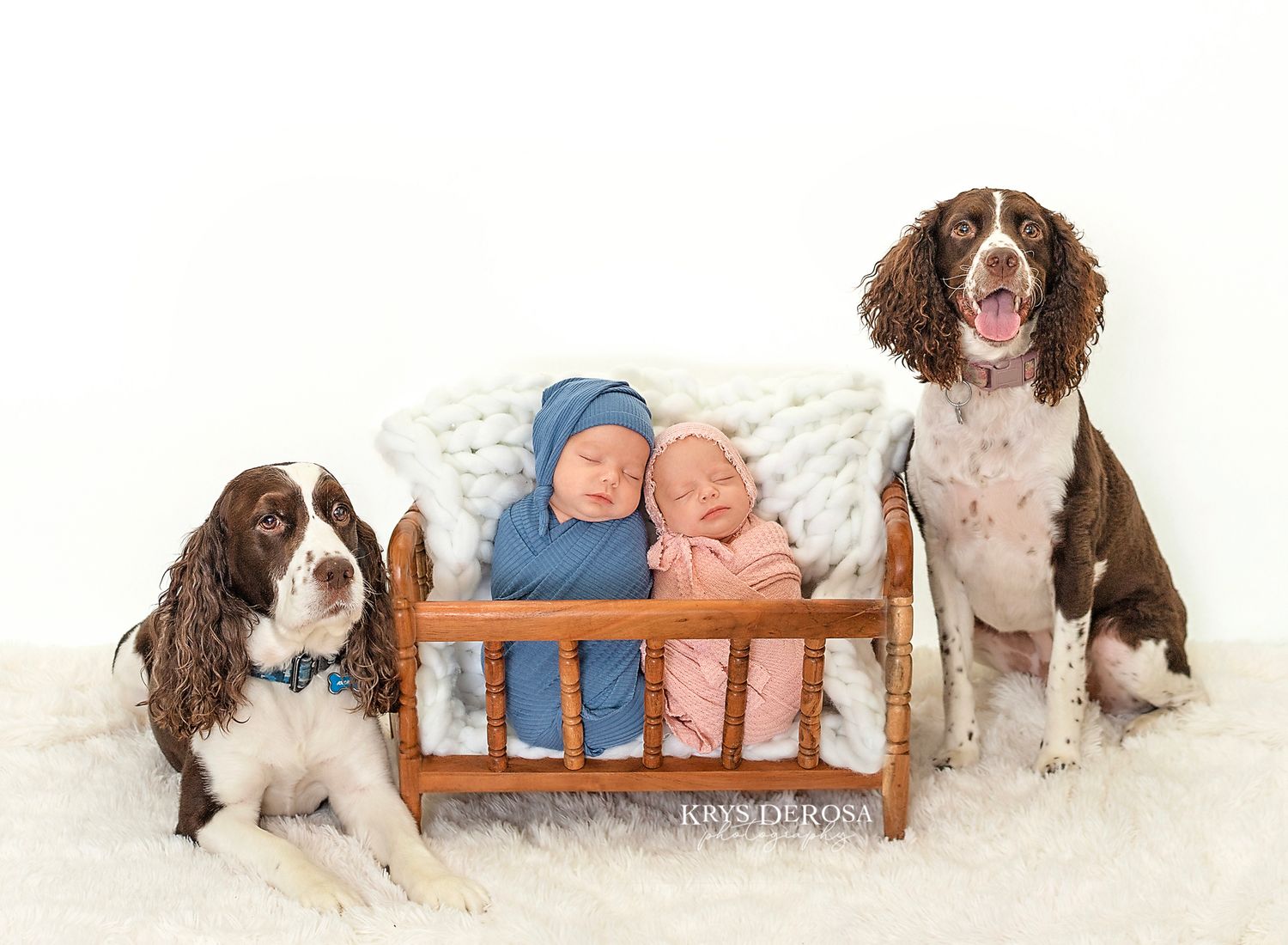 Two swaddled twin babies snugly nestled inside a wooden teardrop-shaped frame against a black background.