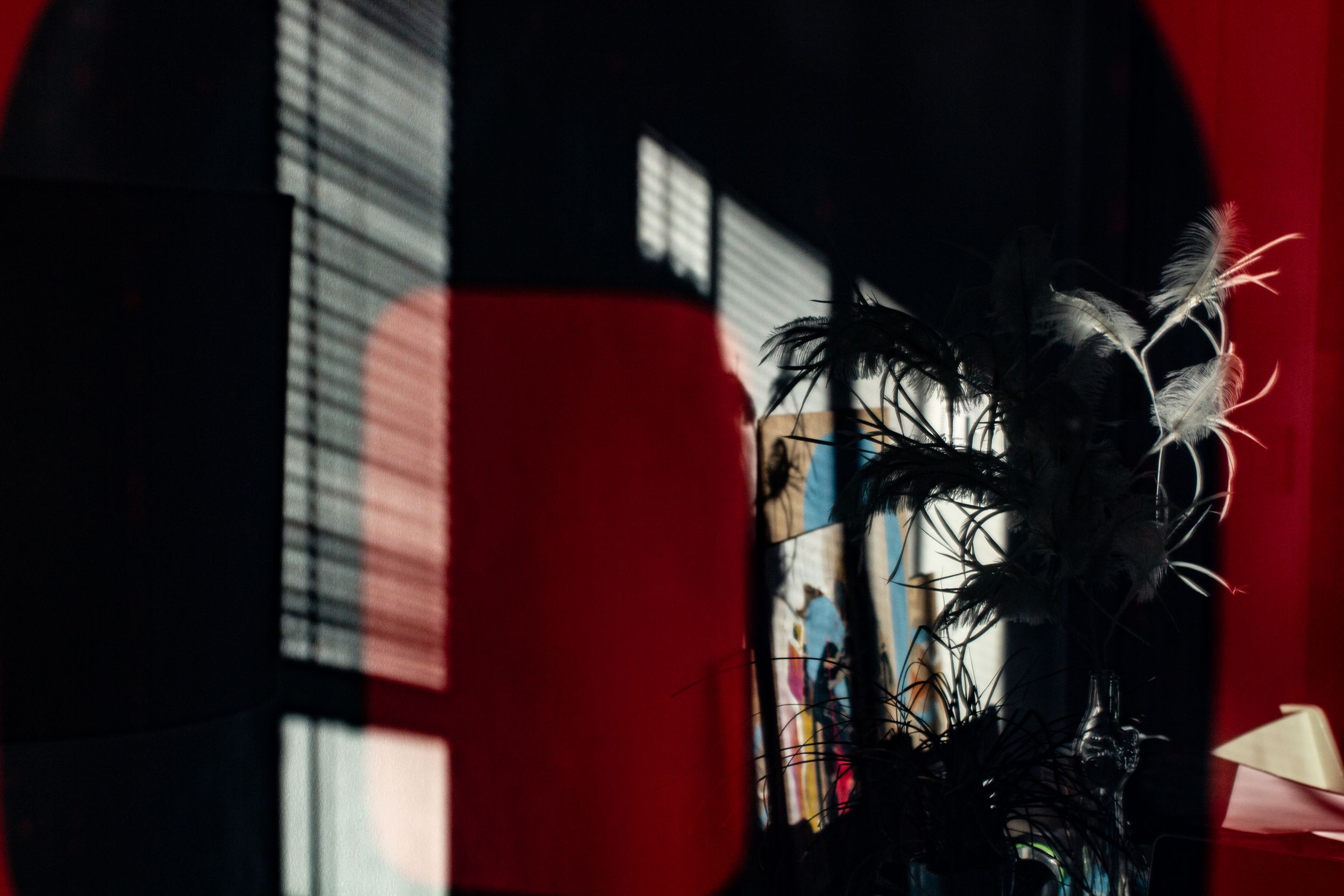 Shadow of window blinds casting dramatic striped pattern on red wall with feathery object in foreground.
