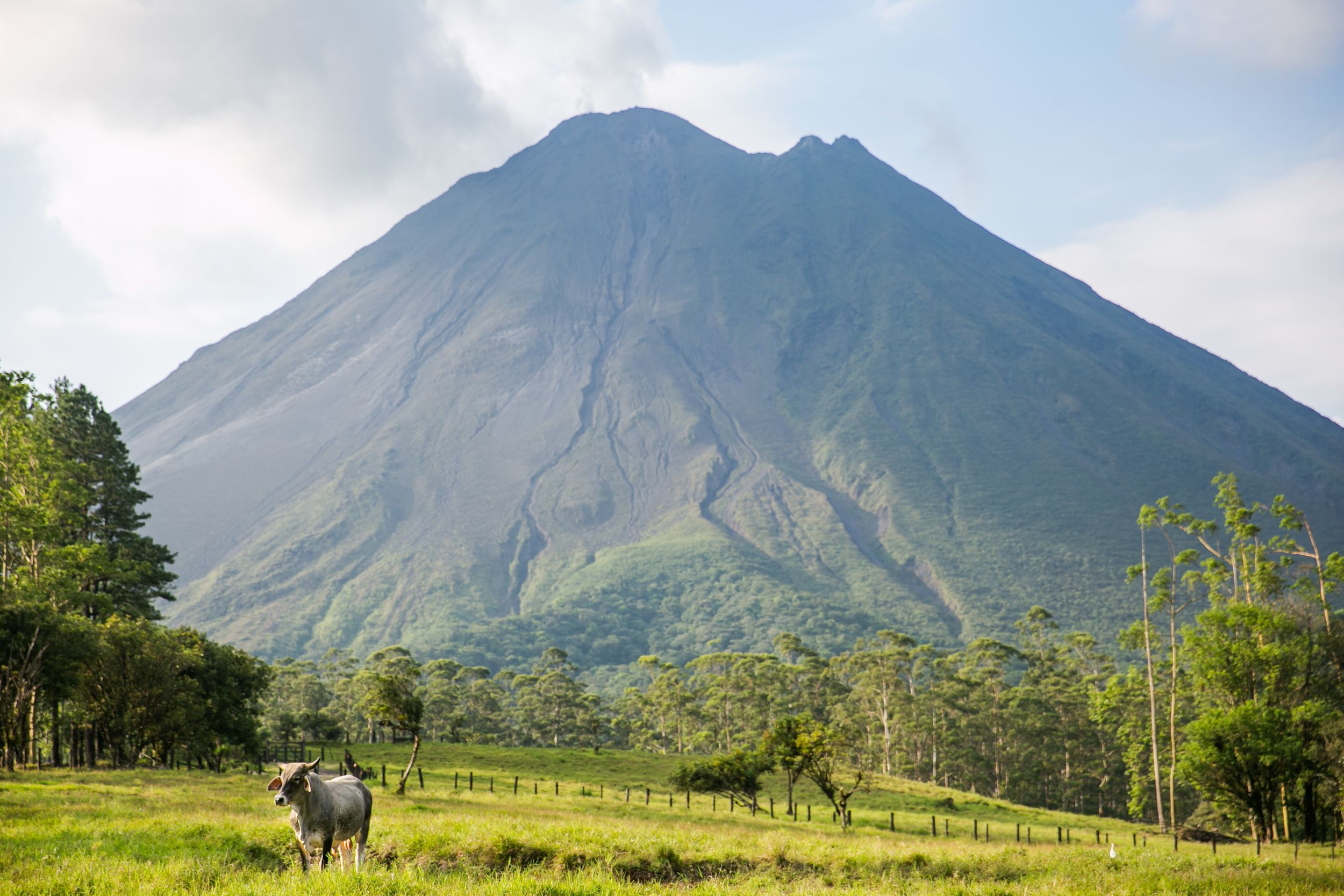 Majestic volcanic mountain peaks rise above green pastures under a cloudy sky in a rural landscape.