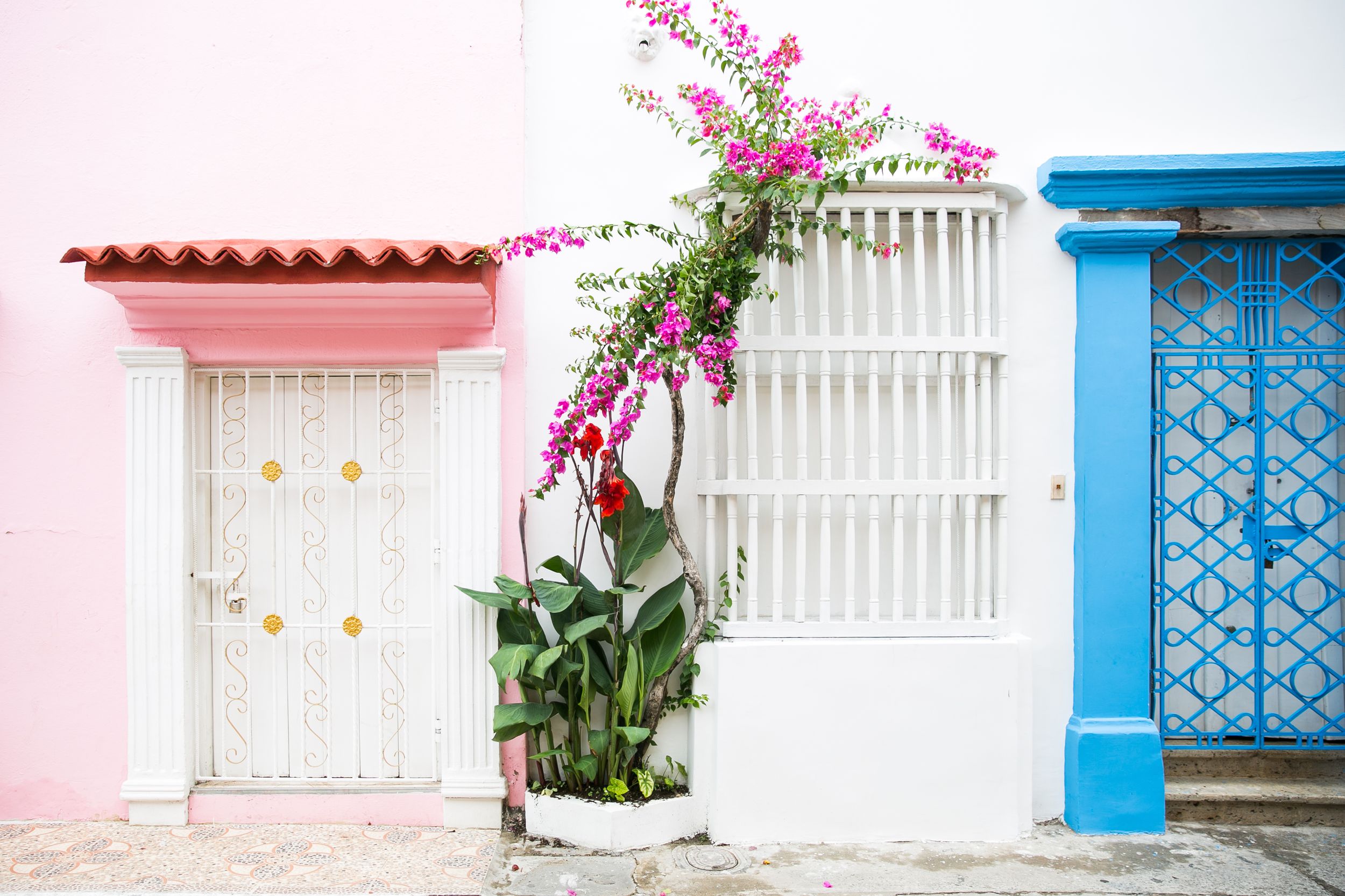 Charming colonial architecture with pink and blue accents adorned with flowering bougainvillea plants.