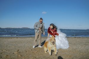 A couple and their dog enjoy a romantic moment on a scenic beach with water views.