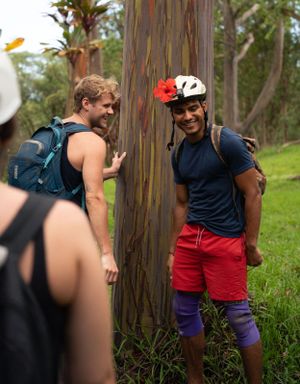 People enjoying outdoor activities among tall eucalyptus trees in a park setting.