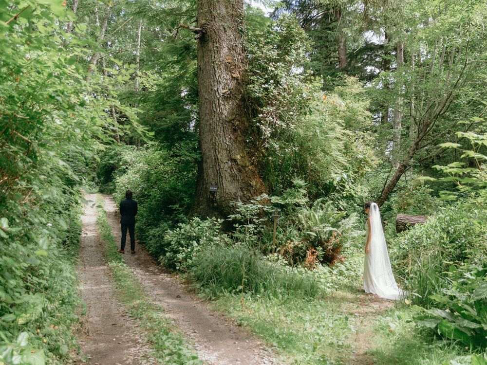 A bride in a white gown and veil stands on a forest path beside a groom in black near a large tree.