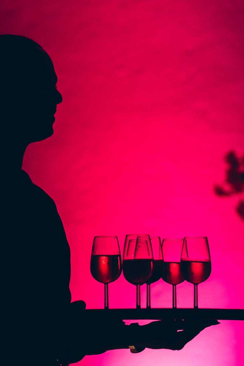 Silhouetted figure holds a tray with wine glasses against vibrant pink background creating dramatic contrast.