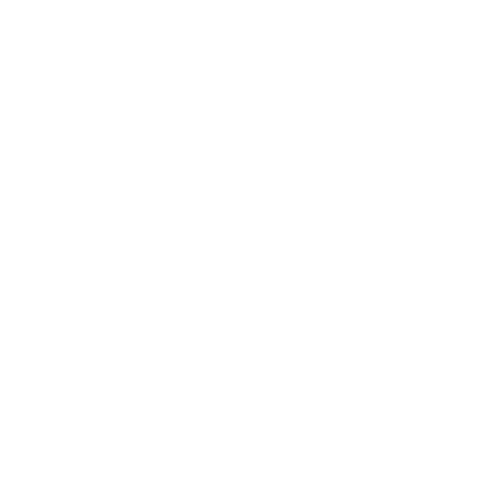 Elegant gold 'SA' monogram logo in oval frame on light gray background.