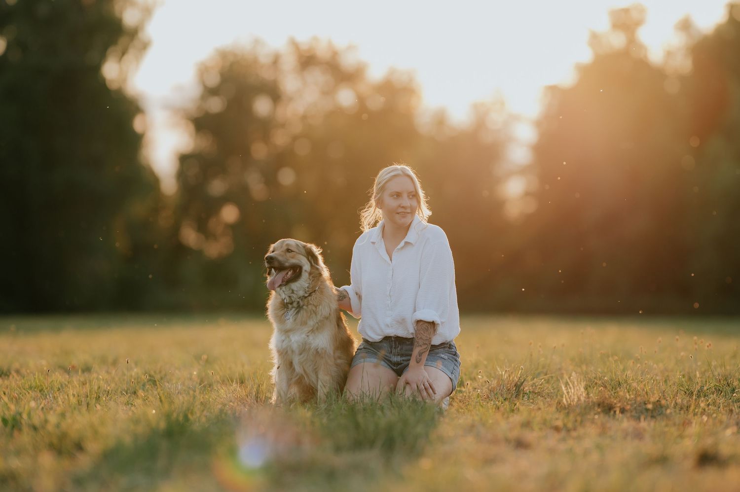 Ein kleiner Hund und eine Person stehen zusammen in einem goldenen Feld bei Sonnenuntergang, während das Sonnenlicht einen warmen Gegenlicht