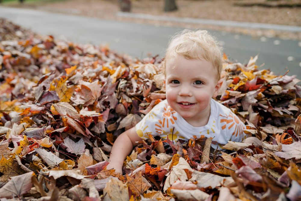 A cute blonde toddler smiling while playing in a large pile of fall leaves outdoors.
