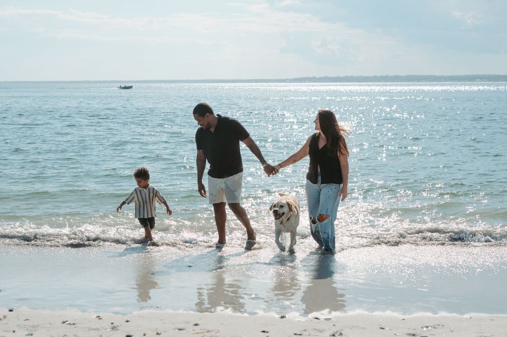 A group walks along the shoreline with their white dog as gentle waves lap at their feet on a sunny beach day.
