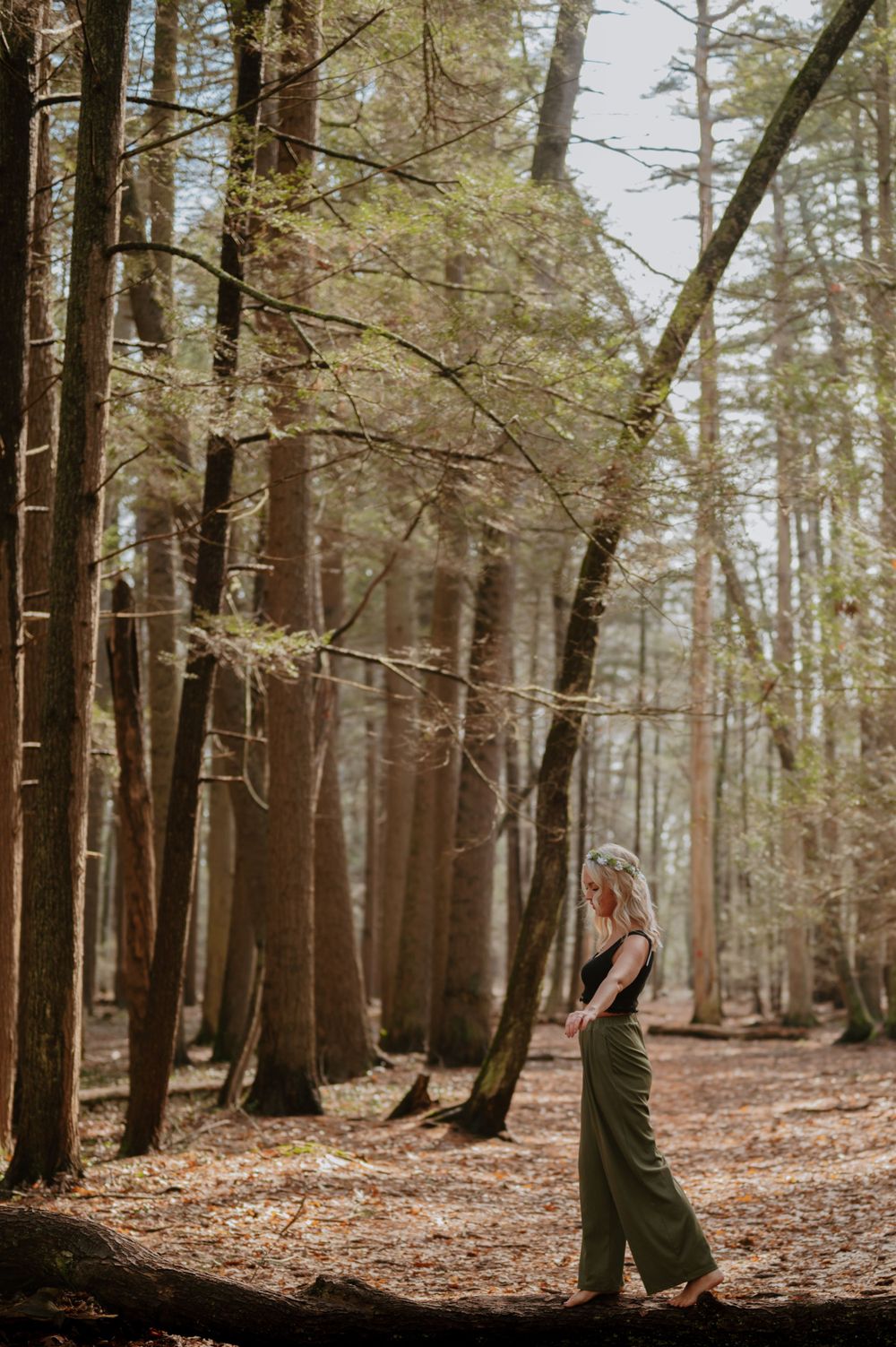 Person in dark dress walking through sunlit forest with tall pine trees.