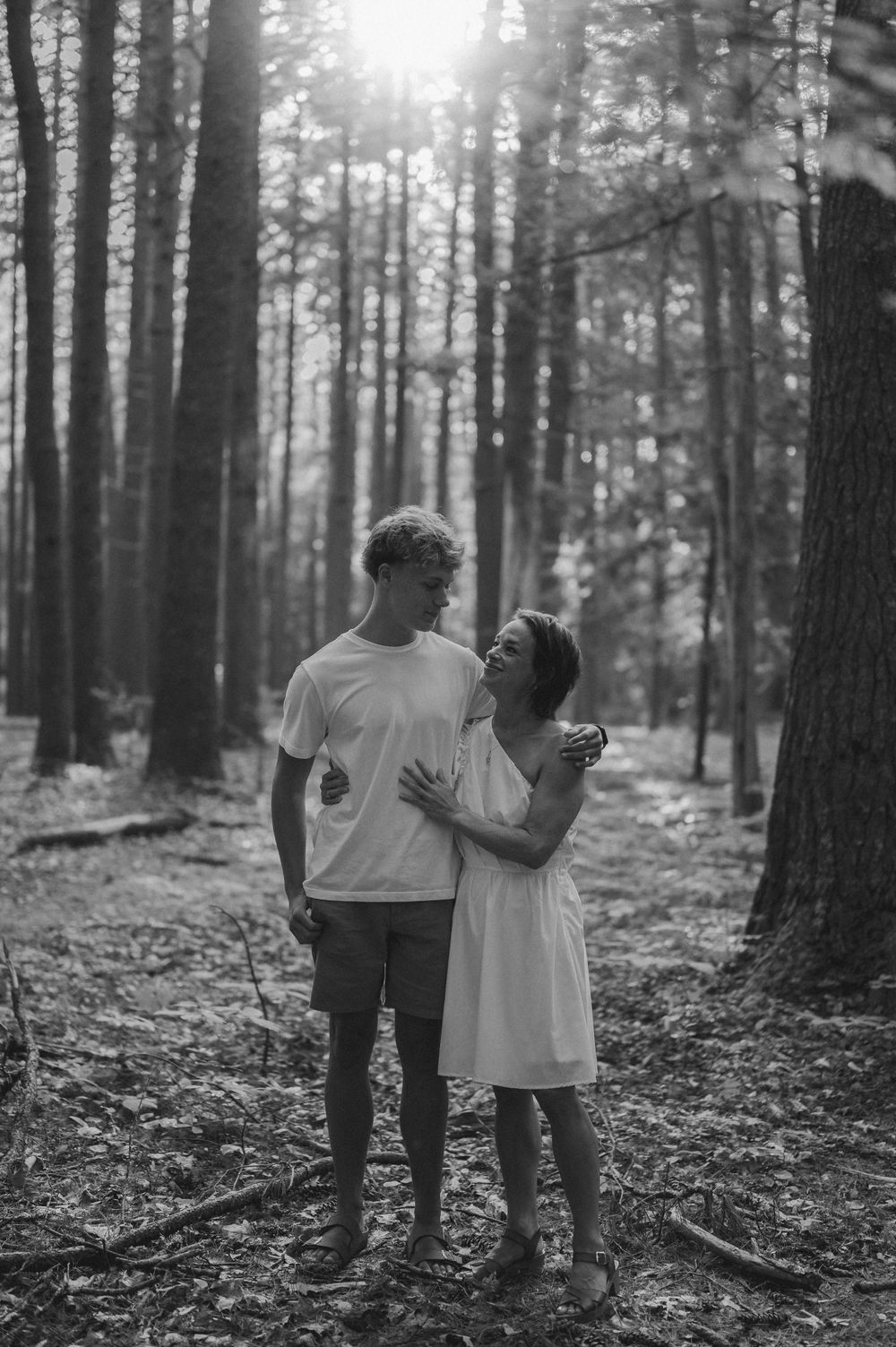 A black and white romantic forest scene with sunlight streaming through tall pine trees.