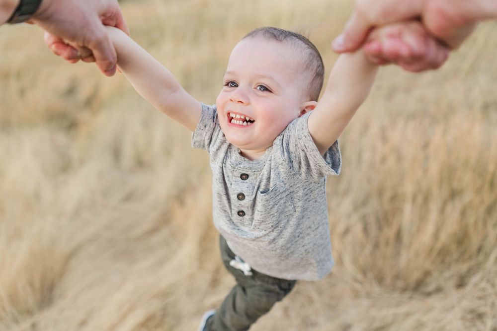 Laughing baby boy being lifted by his parents hands in a golden wheat field.