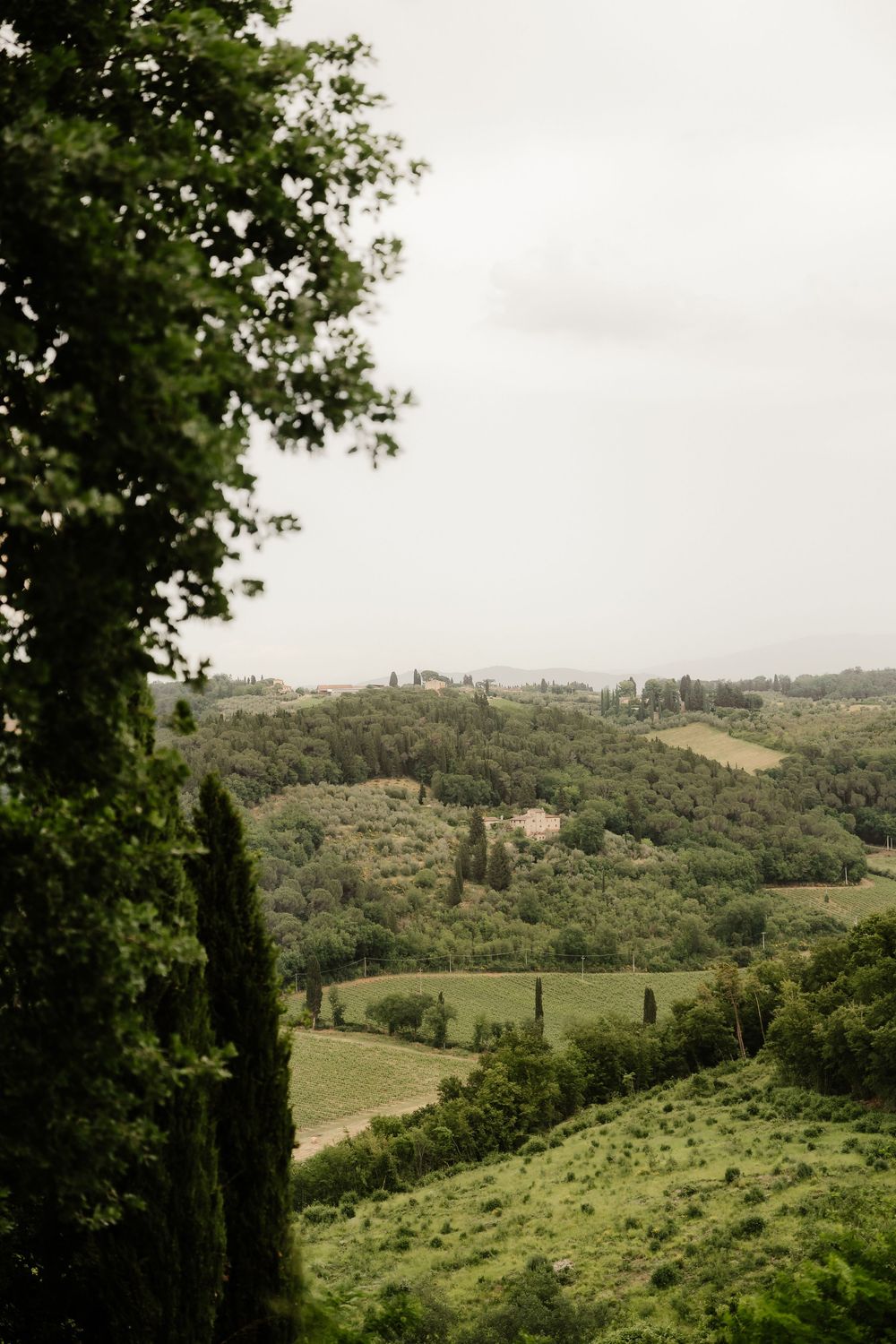 Il paesaggio toscano durante il pizza party degli sposi nel giorno prima alle nozze.