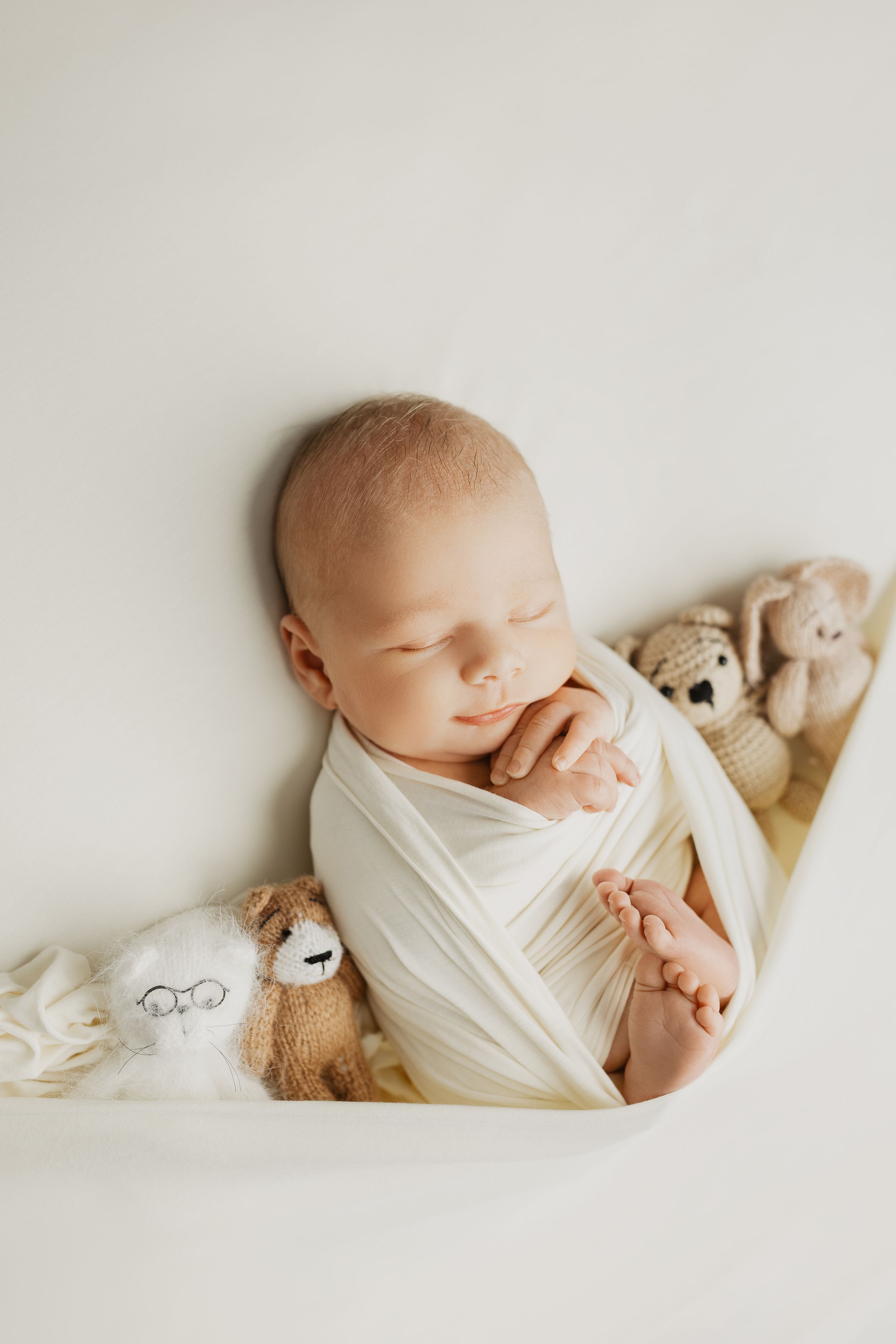 Peaceful newborn portrait with white wrap and stuffed animal accessories.