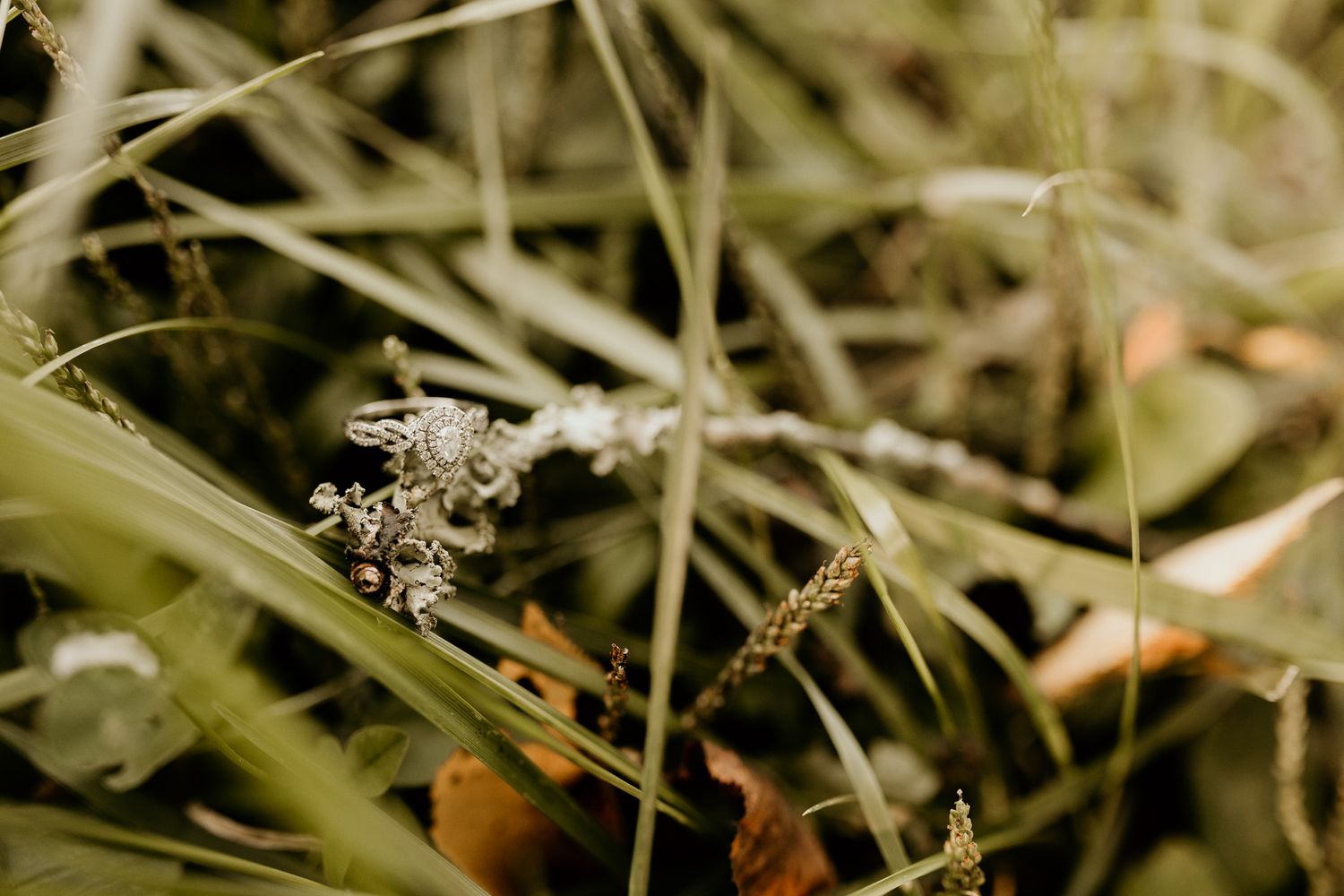 Detailed view of wedding rings among natural foliage and grass.
