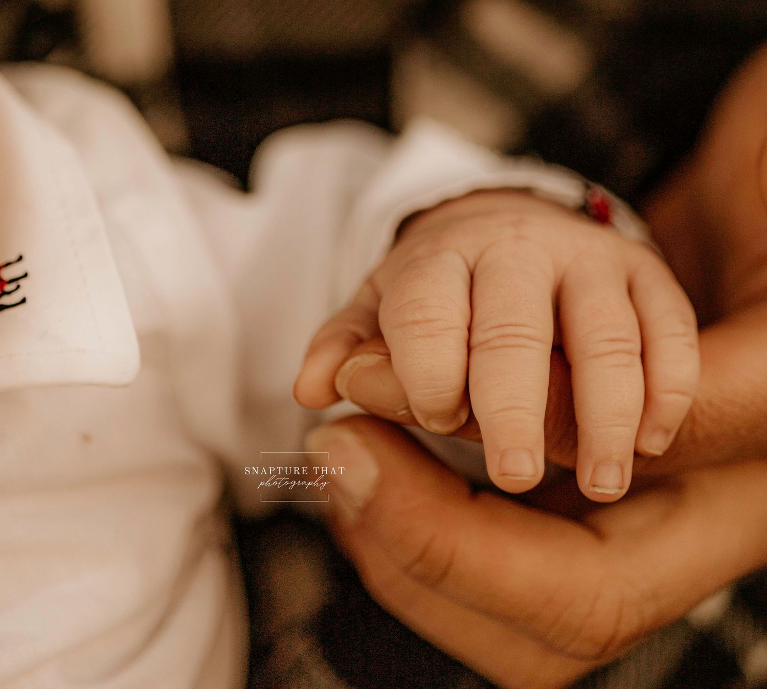 Tender moment captured of small infant hand resting in adult palm.