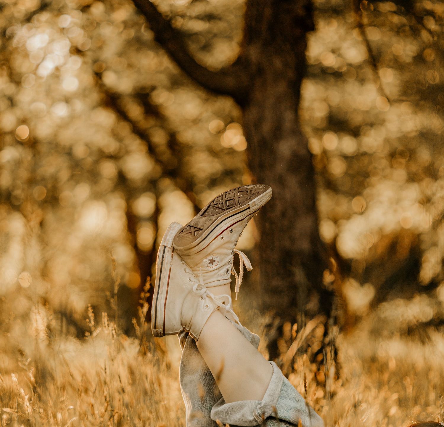 Converse sneakers stand among golden wildflowers in a dreamy autumn field at sunset.
