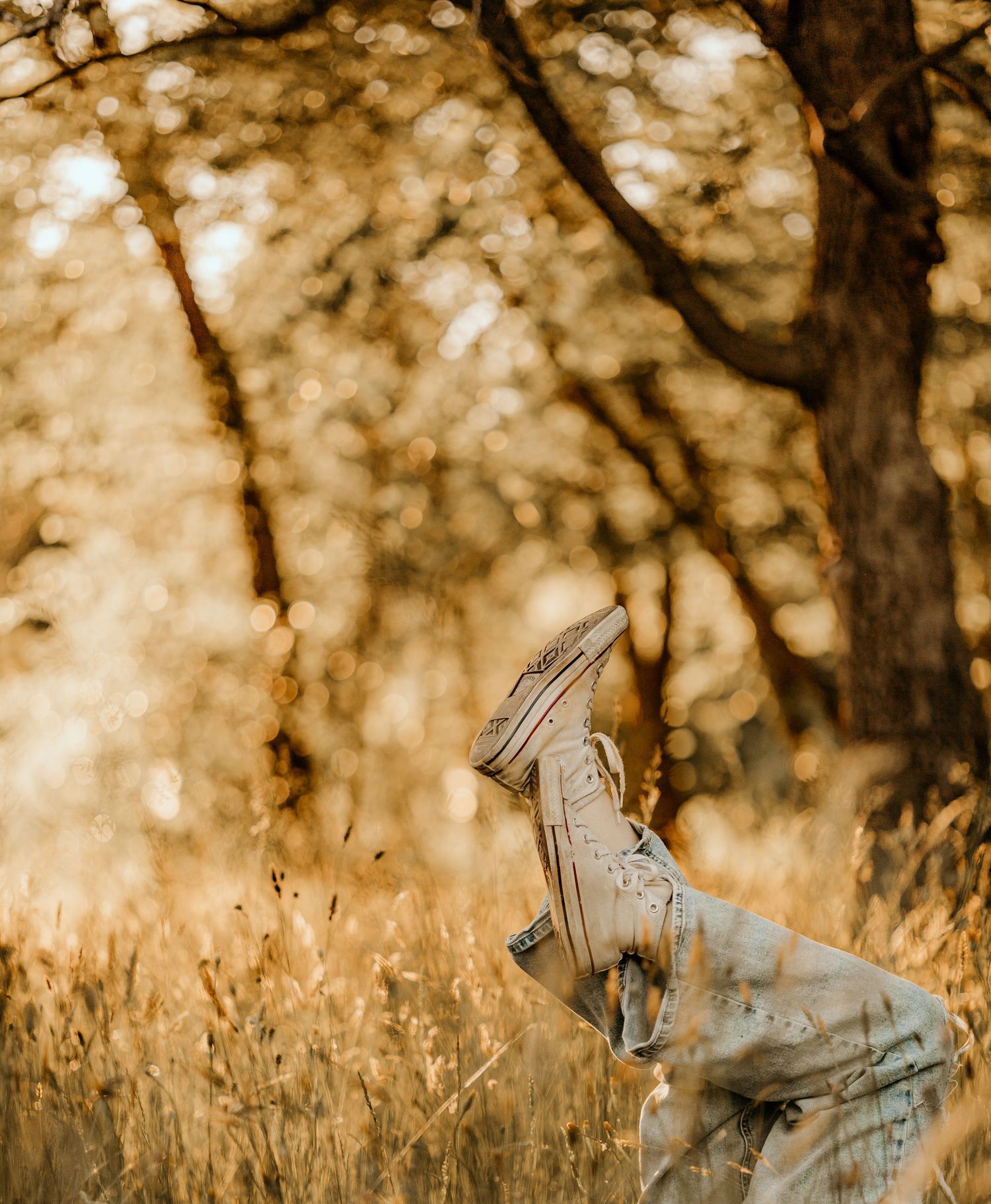 White canvas sneakers peek through tall grass in a warm sepia-toned outdoor setting.