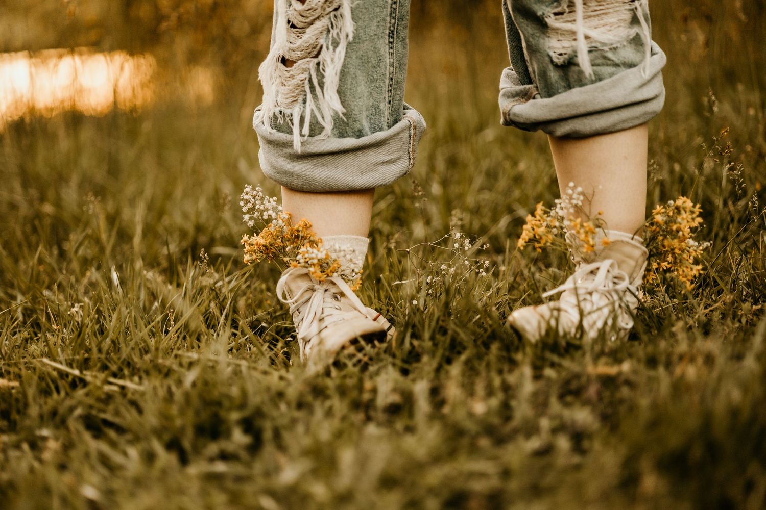 Classic white sneakers stand on grass in warm golden sunlight.