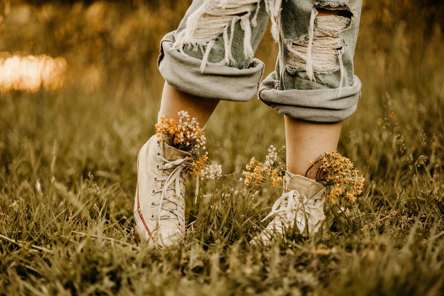 White canvas shoes surrounded by dried yellow flowers in autumn grass.