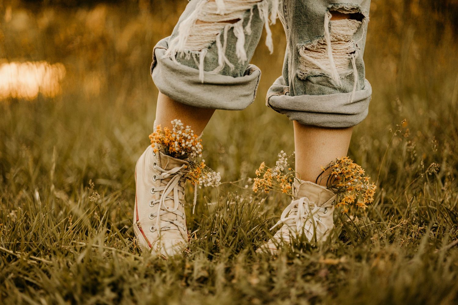Classic white sneakers photographed in warm sunlight against natural grass.