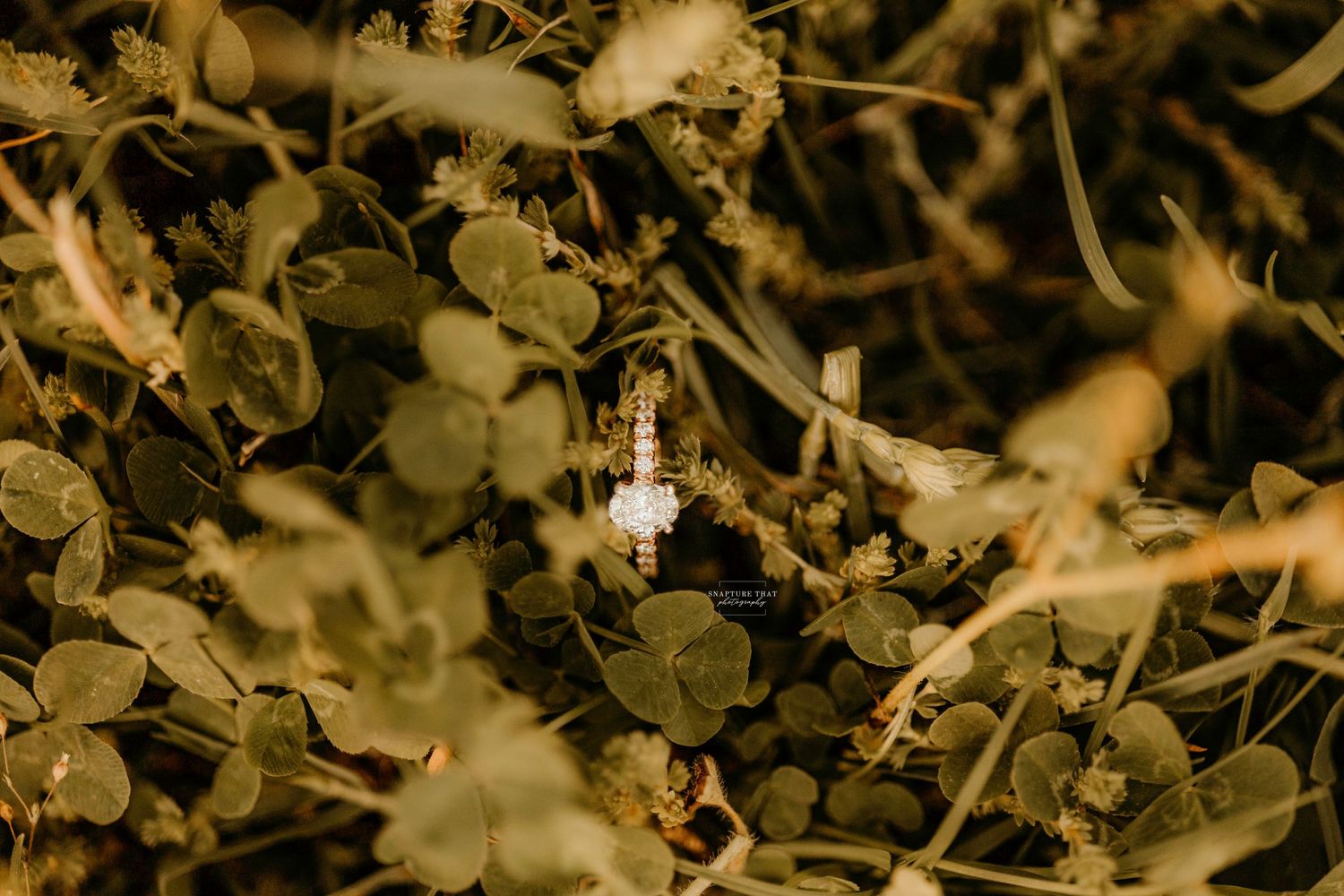 Detailed macro photography of leaves and branches in moody lighting.