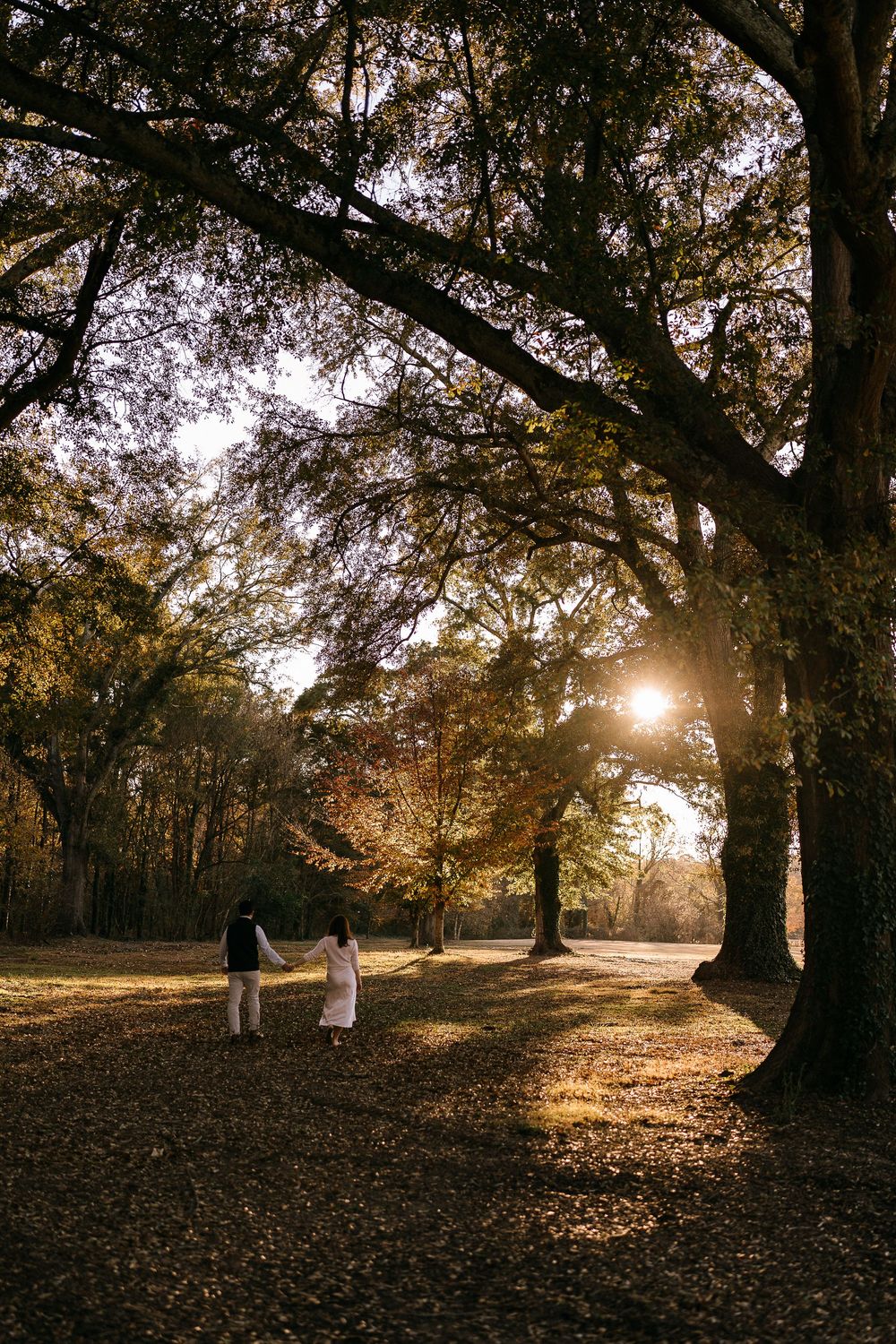 Silhouette of couple holding hands walking through sunlit autumn forest at golden hour.