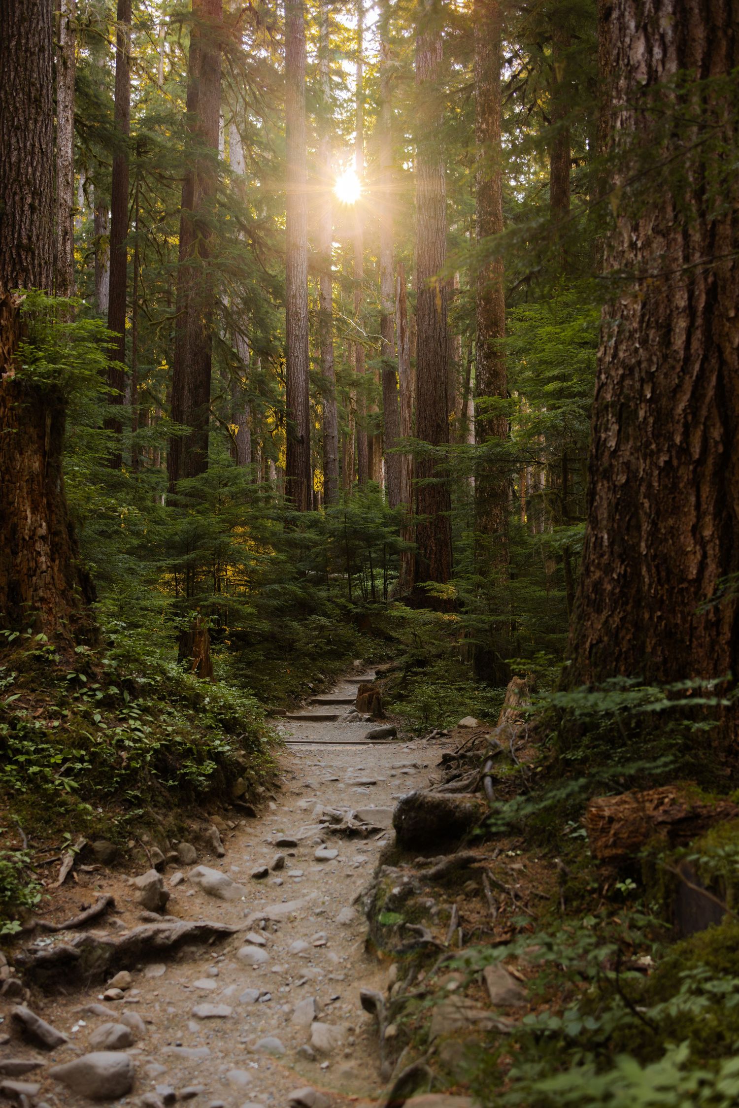 Olympic National Park