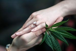 El Yunque Photoshoot. Puerto Rico Photographer. Albert Ray Photo. Elopement. Rainforest Photographer. Engagement, Waterfall Photoshoot. Love