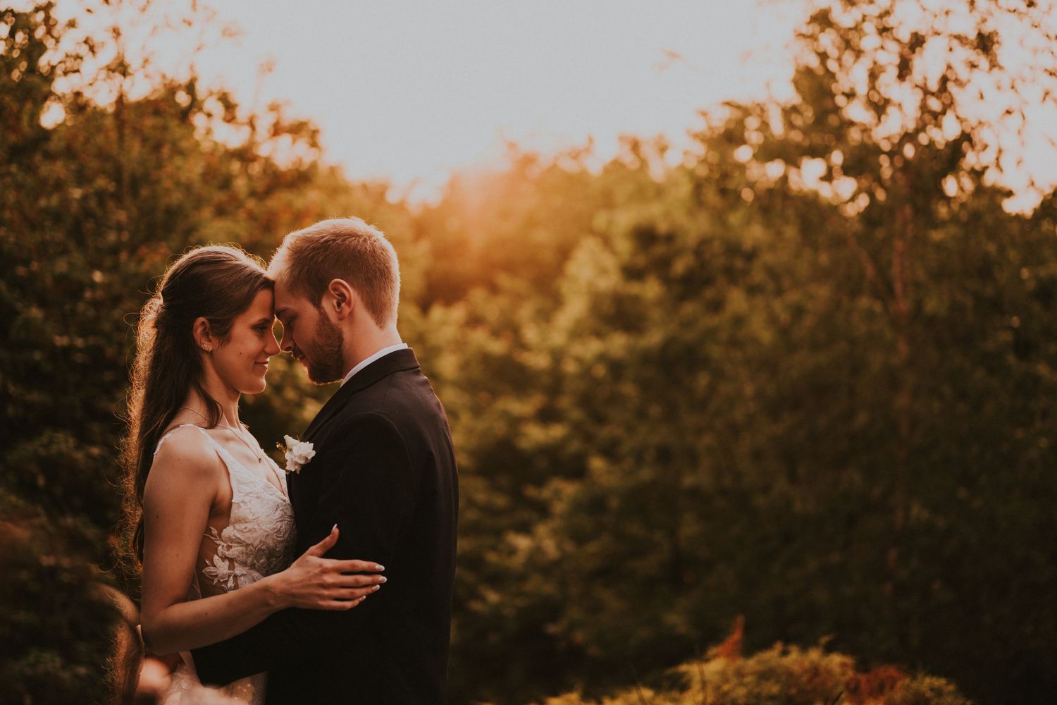 Wedding couple shares an intimate golden hour embrace surrounded by vibrant green trees in warm sunlight.