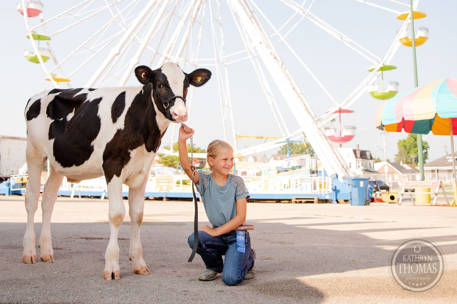 A black and white dairy cow stands tall next to a colorful Ferris wheel at a fairground.