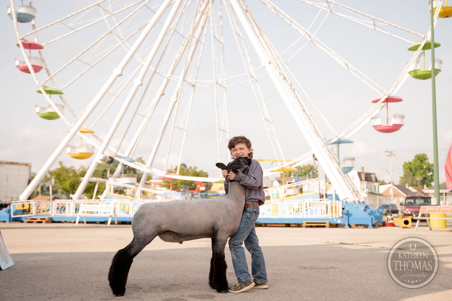 Grey show animal poses with handler in front of large white ferris wheel at county fair.