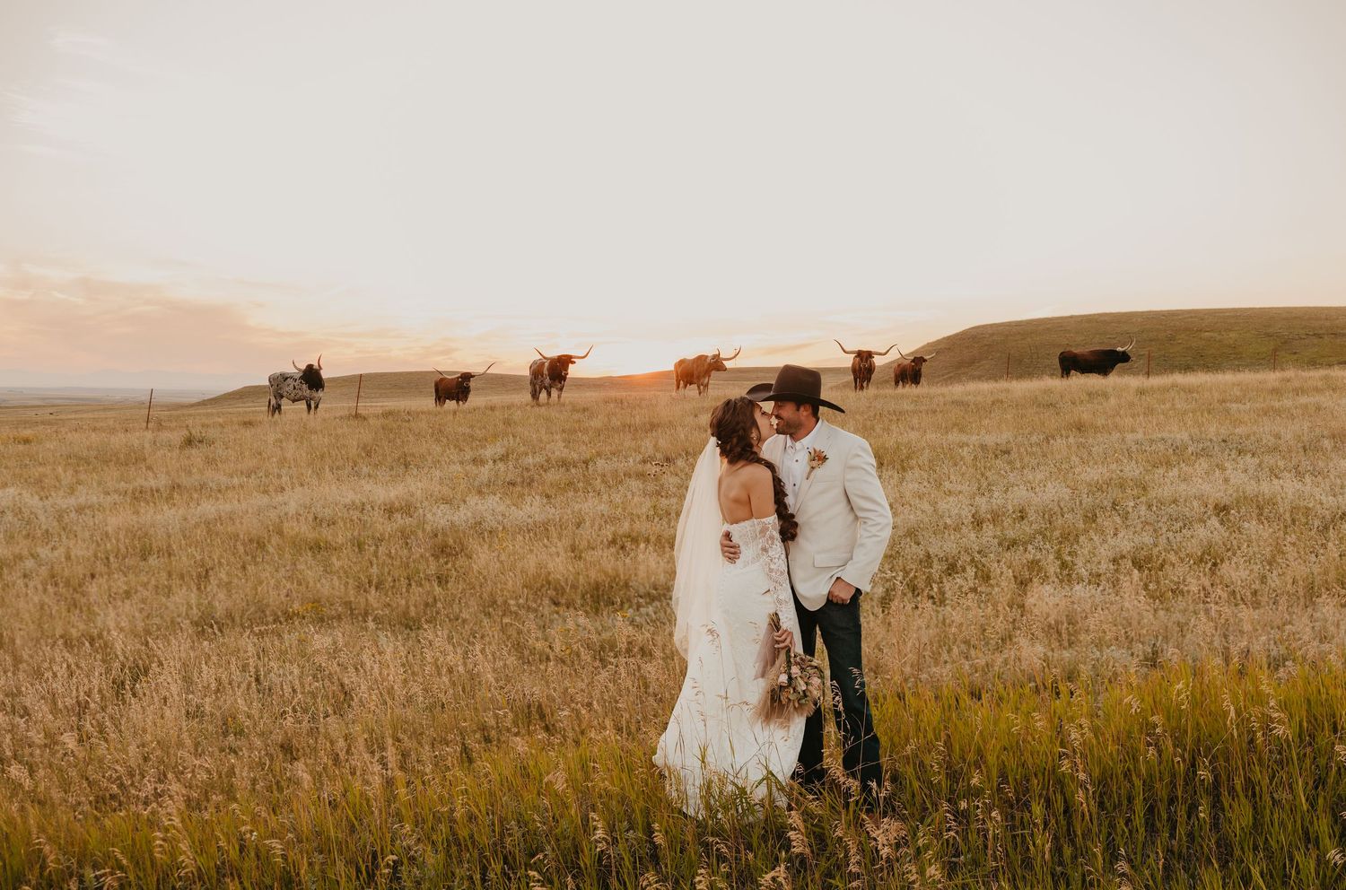 Western Longhorn Cattle with Bride and Groom at sunset. Montana Wedding photographer captures this in Lewistown Montana. Paradise Valley