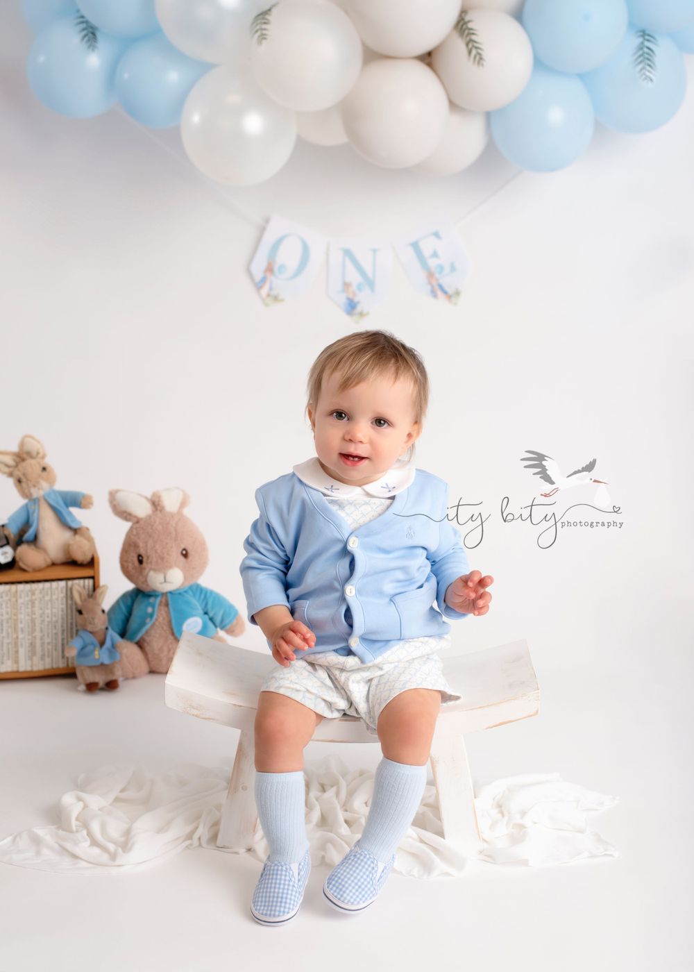 Avon Lake Family Photographer One Year Cake Smash Formal Photos Ity Bity Photography