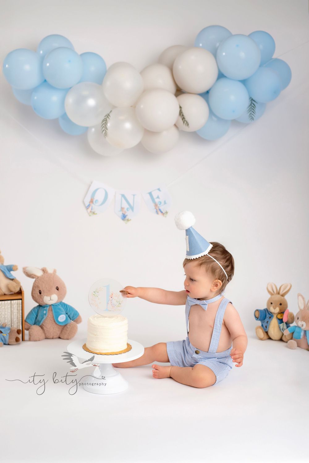Avon Lake Family Photographer One Year Cake Smash Photos Ity Bity Photography