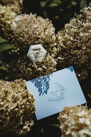 Wedding rings in a velvet box resting on white hydrangeas beside a blue wedding invitation card.